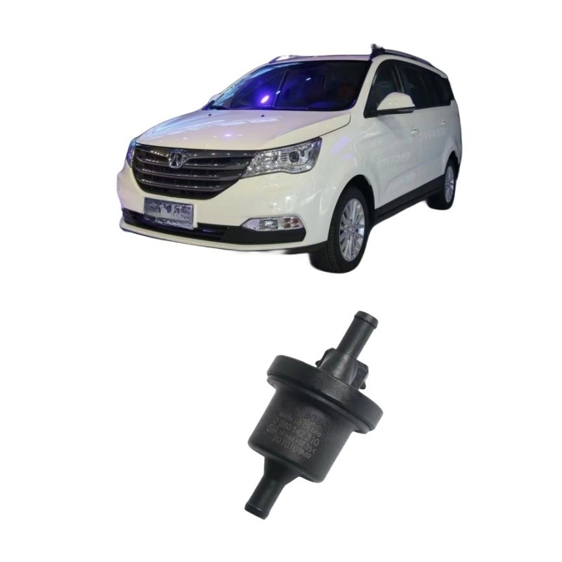 BAIC WEIWANG M35 306 307 M20 M30 205 206 M50F M35M60S50 Σολενοειδή βαλβίδα δεξαμενής άνθρακα