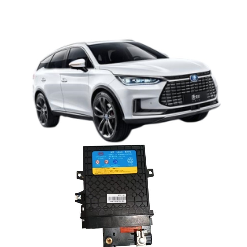 395*291*109mm Μαύρο BYD Tang EV Starter Iron μπαταρία STEK-3703030 για απόδοση